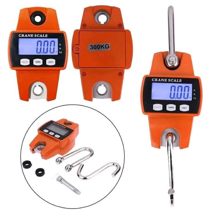 Untitled-30.jpg 300KGS Industrial Crane Digital Weighing Scale - Image 1